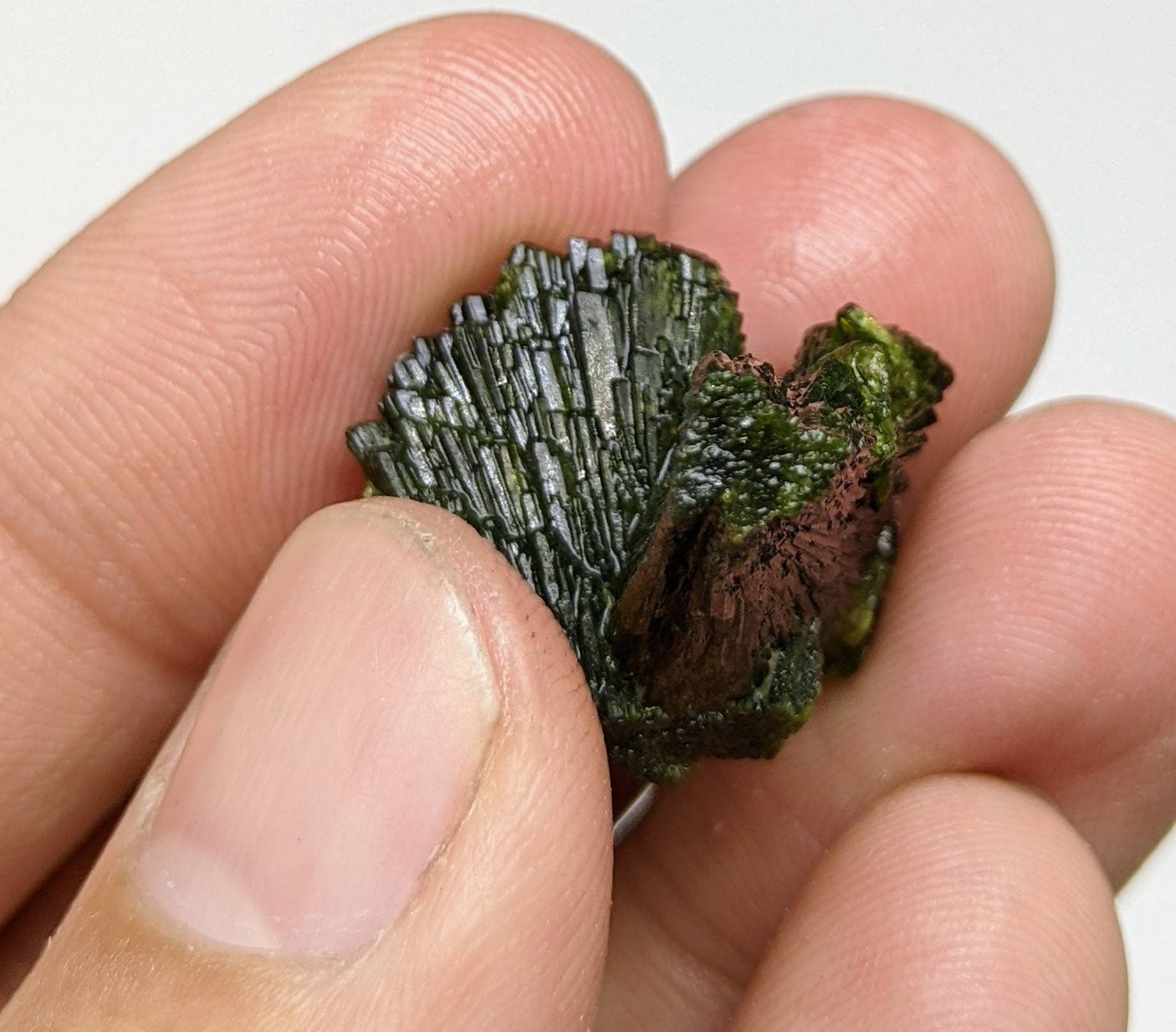 ARSAA GEMS AND MINERALSNatural green spray epidote crystal from Balochistan Pakistan, weight 7.1 grams - Premium  from ARSAA GEMS AND MINERALS - Just $20.00! Shop now at ARSAA GEMS AND MINERALS