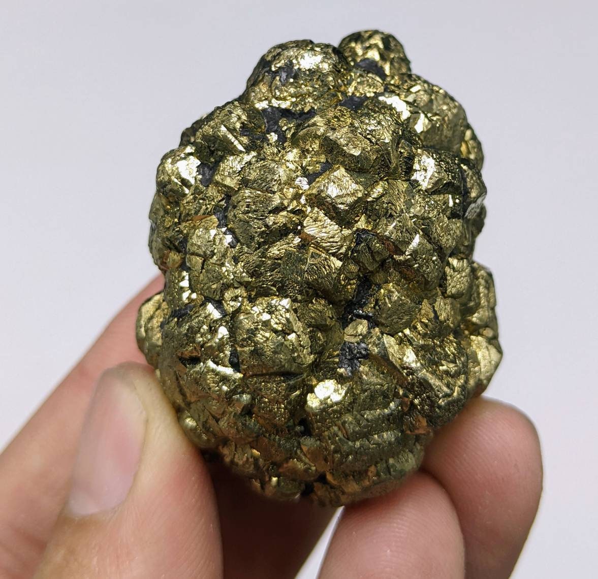 ARSAA GEMS AND MINERALSNew find big size golden Marcasite sphere shape cluster also called prophecy stone from a new find in Darra Adam Khel KPK Pakistan, 147.6g - Premium  from ARSAA GEMS AND MINERALS - Just $40.00! Shop now at ARSAA GEMS AND MINERALS