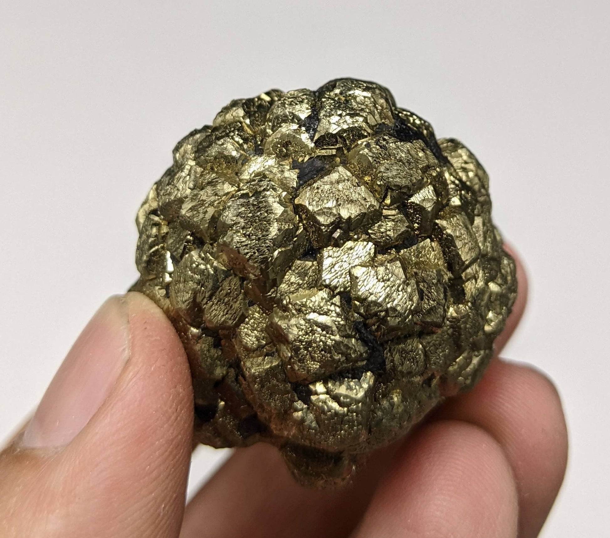 ARSAA GEMS AND MINERALSNew find big size golden Marcasite sphere shape cluster also called prophecy stone from a new find in Darra Adam Khel KPK Pakistan, 147.6g - Premium  from ARSAA GEMS AND MINERALS - Just $40.00! Shop now at ARSAA GEMS AND MINERALS