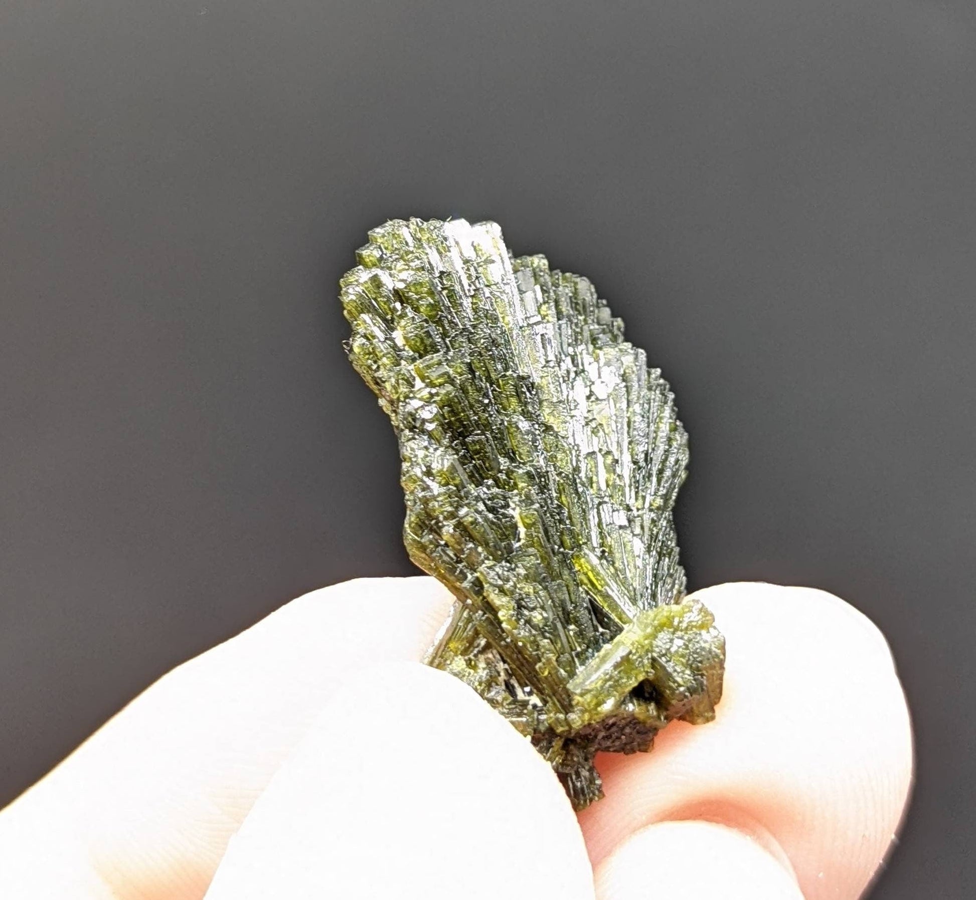 ARSAA GEMS AND MINERALSNatural green spray epidote crystal from Balochistan Pakistan, weight 5.7 grams - Premium  from ARSAA GEMS AND MINERALS - Just $20.00! Shop now at ARSAA GEMS AND MINERALS