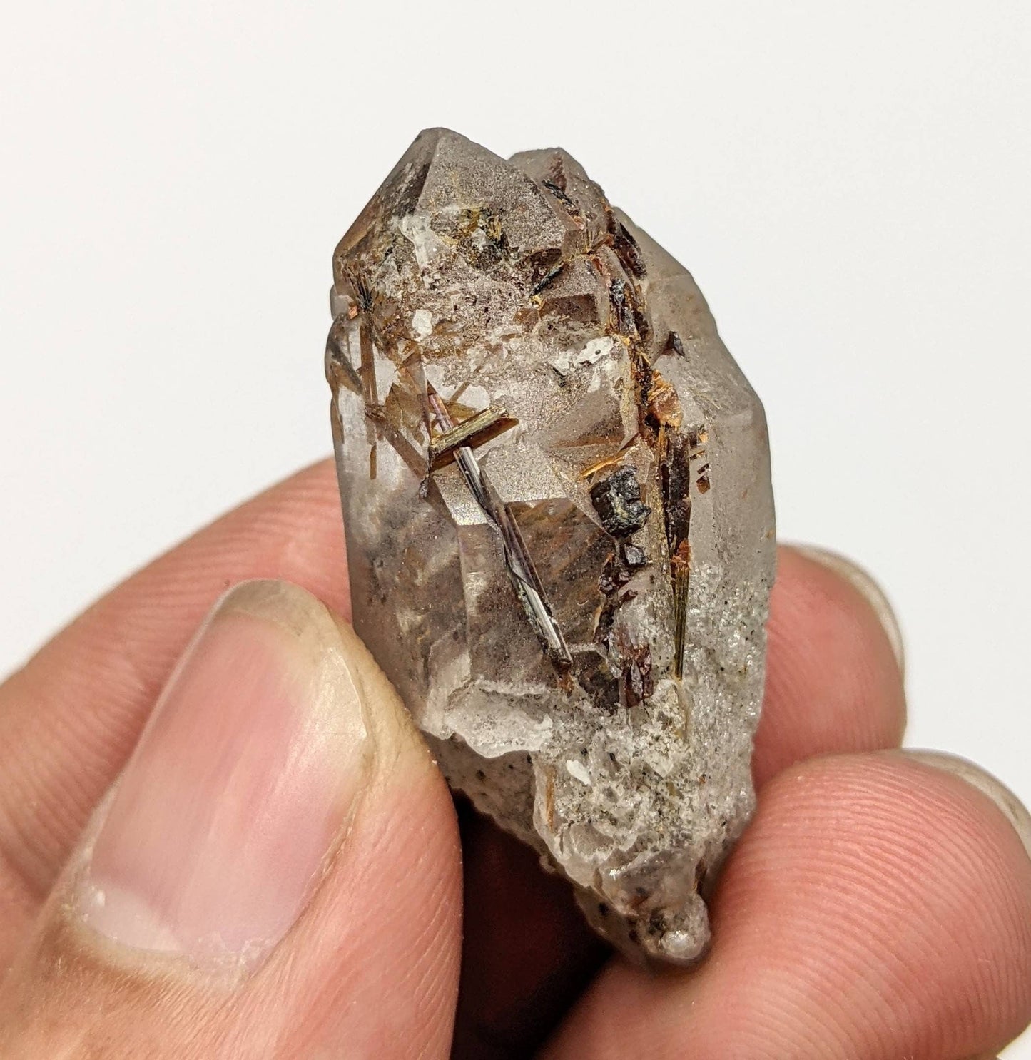 ARSAA GEMS AND MINERALSTwins Sagenite var Rutile included quartz crystal from KP Pakistan, 11.5 grams - Premium  from ARSAA GEMS AND MINERALS - Just $30.00! Shop now at ARSAA GEMS AND MINERALS