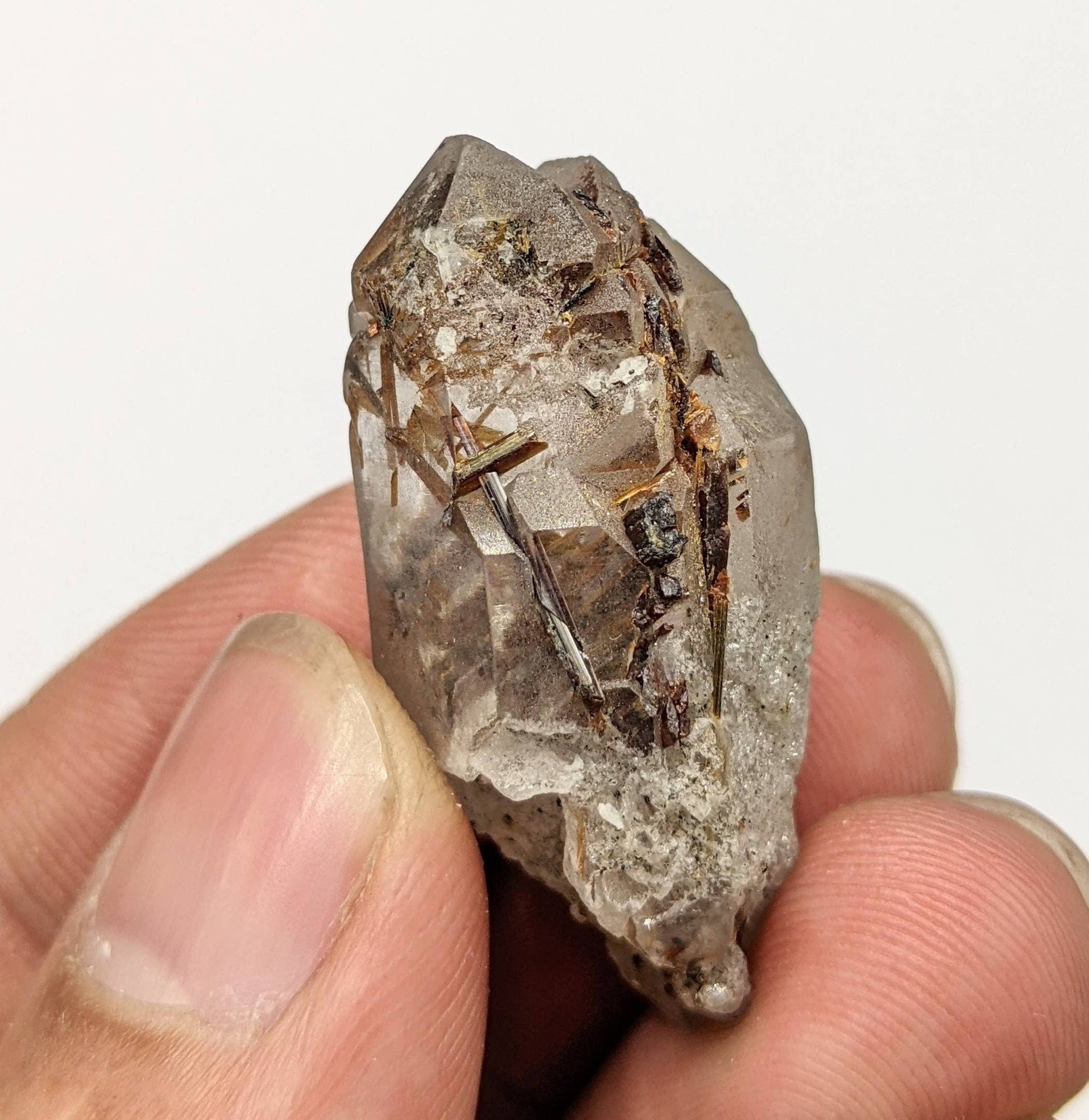 ARSAA GEMS AND MINERALSTwins Sagenite var Rutile included quartz crystal from KP Pakistan, 11.5 grams - Premium  from ARSAA GEMS AND MINERALS - Just $30.00! Shop now at ARSAA GEMS AND MINERALS