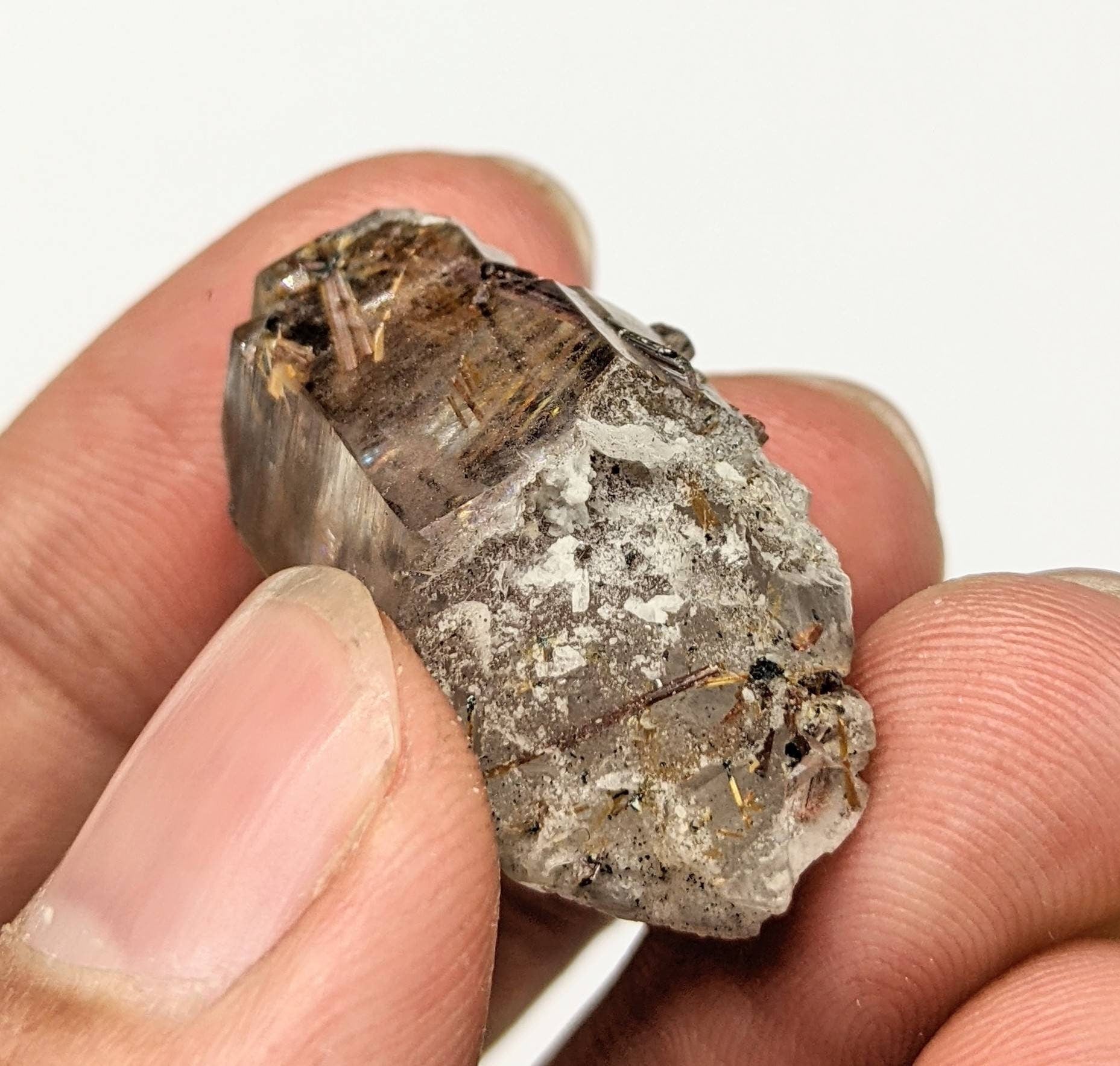 ARSAA GEMS AND MINERALSTwins Sagenite var Rutile included quartz crystal from KP Pakistan, 11.5 grams - Premium  from ARSAA GEMS AND MINERALS - Just $30.00! Shop now at ARSAA GEMS AND MINERALS