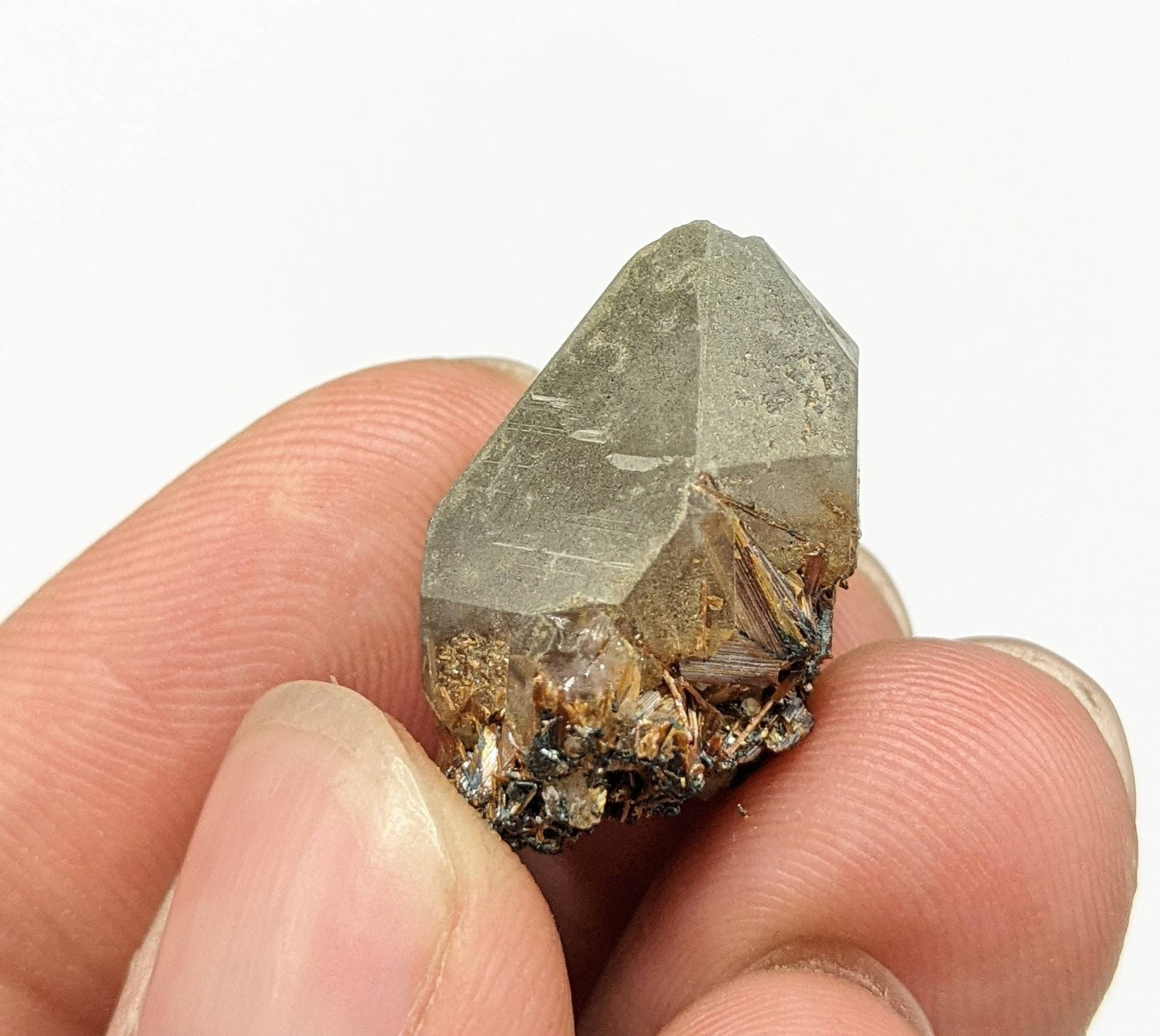 ARSAA GEMS AND MINERALSSagenite var Rutile included quartz crystal from KP Pakistan, 6.4 grams - Premium  from ARSAA GEMS AND MINERALS - Just $25.00! Shop now at ARSAA GEMS AND MINERALS