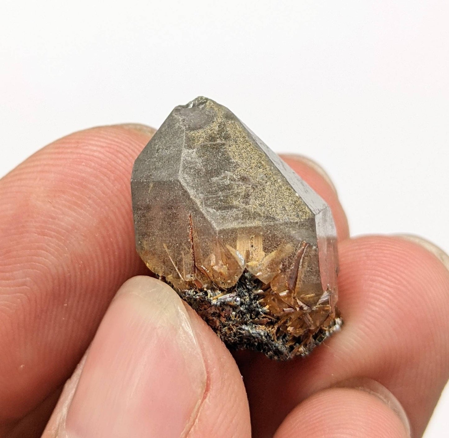 ARSAA GEMS AND MINERALSSagenite var Rutile included quartz crystal from KP Pakistan, 6.4 grams - Premium  from ARSAA GEMS AND MINERALS - Just $25.00! Shop now at ARSAA GEMS AND MINERALS