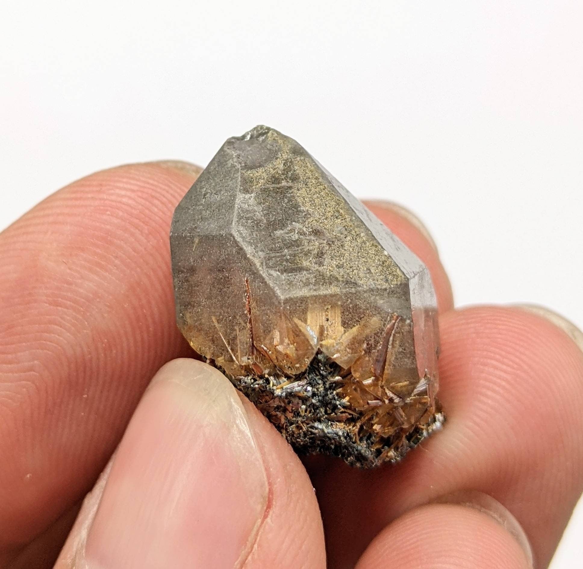 ARSAA GEMS AND MINERALSSagenite var Rutile included quartz crystal from KP Pakistan, 6.4 grams - Premium  from ARSAA GEMS AND MINERALS - Just $25.00! Shop now at ARSAA GEMS AND MINERALS