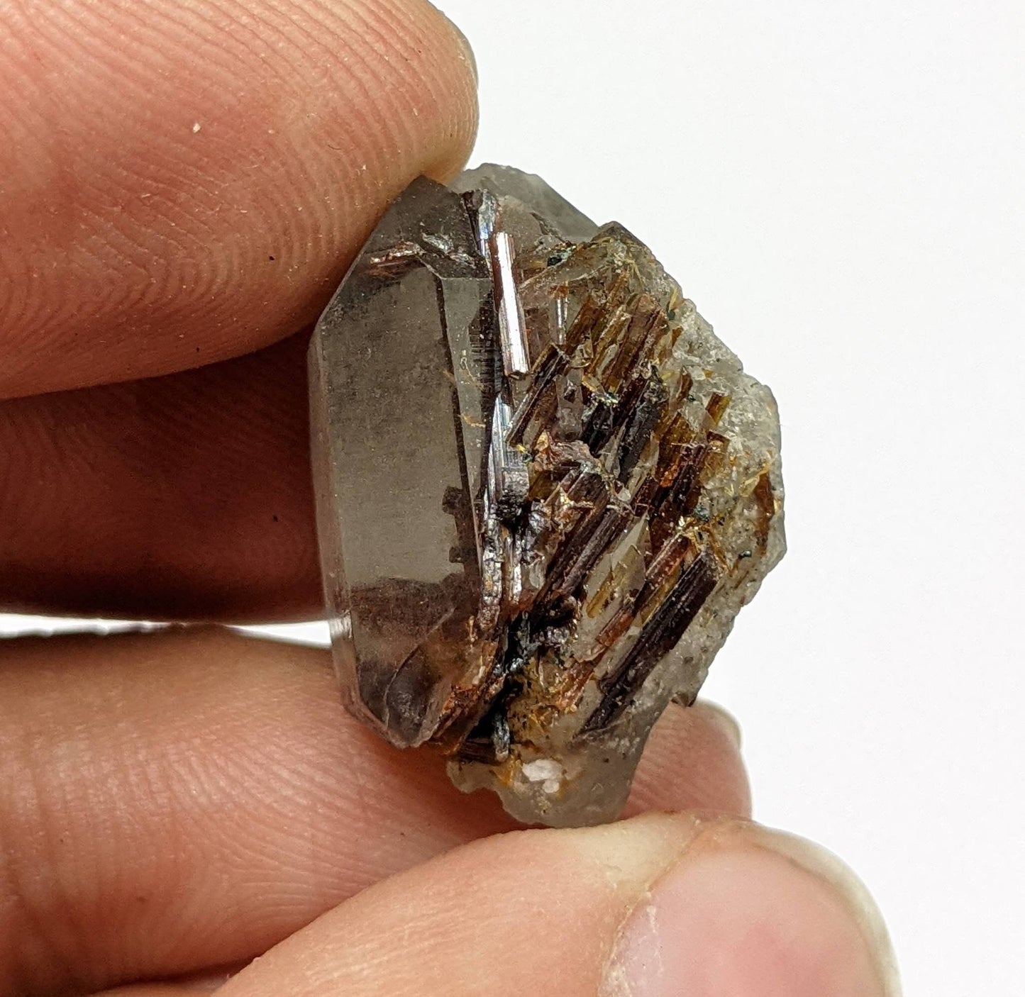 ARSAA GEMS AND MINERALSSagenite var Rutile included quartz crystal from KP Pakistan, 7 grams - Premium  from ARSAA GEMS AND MINERALS - Just $30.00! Shop now at ARSAA GEMS AND MINERALS