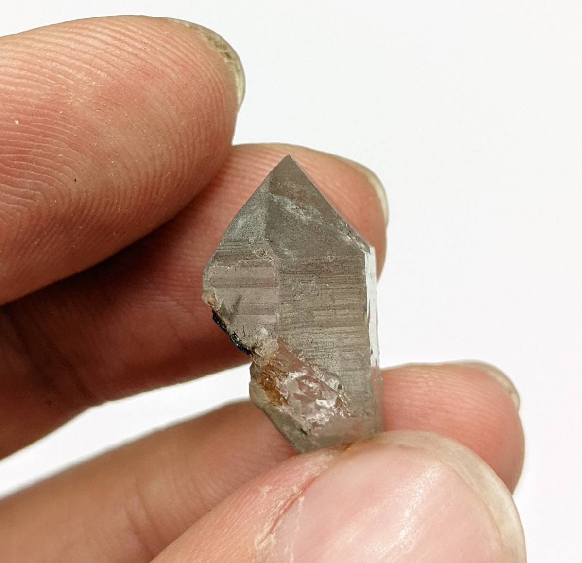 ARSAA GEMS AND MINERALSSagenite var Rutile included quartz crystal from KP Pakistan, 3 grams - Premium  from ARSAA GEMS AND MINERALS - Just $20.00! Shop now at ARSAA GEMS AND MINERALS
