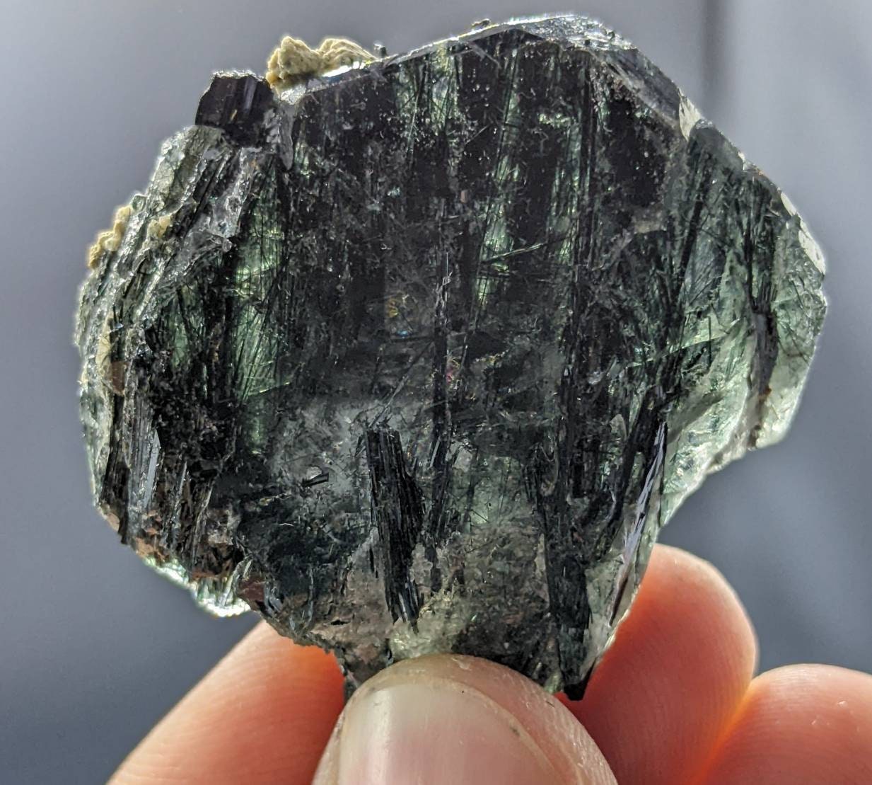 ARSAA GEMS AND MINERALSApatite crystal with green basolite inclusion from KP Pakistan, 30 grams - Premium  from ARSAA GEMS AND MINERALS - Just $60.00! Shop now at ARSAA GEMS AND MINERALS