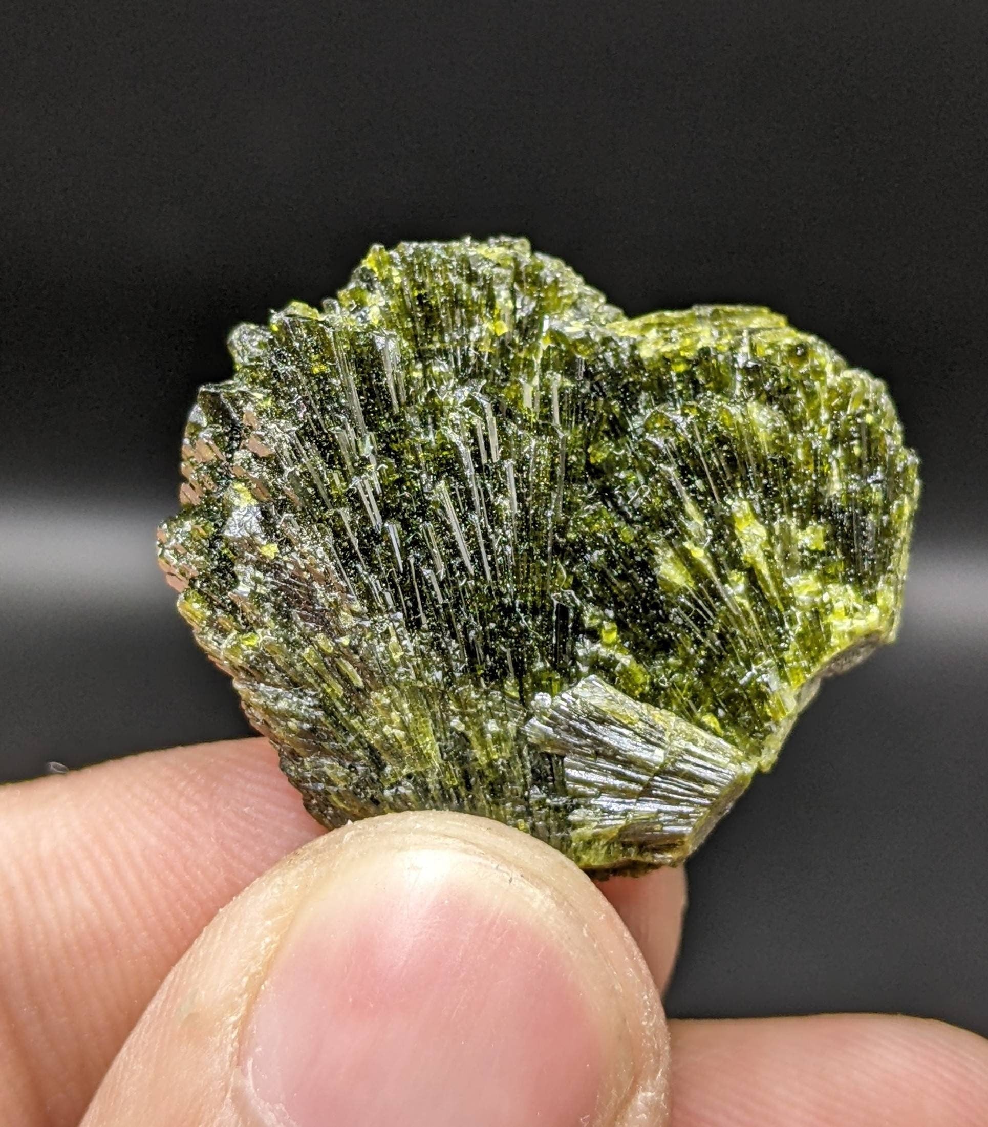 ARSAA GEMS AND MINERALSGrreen spray epidote crystal from Balochistan Pakistan, weight 8.8 grams - Premium  from ARSAA GEMS AND MINERALS - Just $25.00! Shop now at ARSAA GEMS AND MINERALS