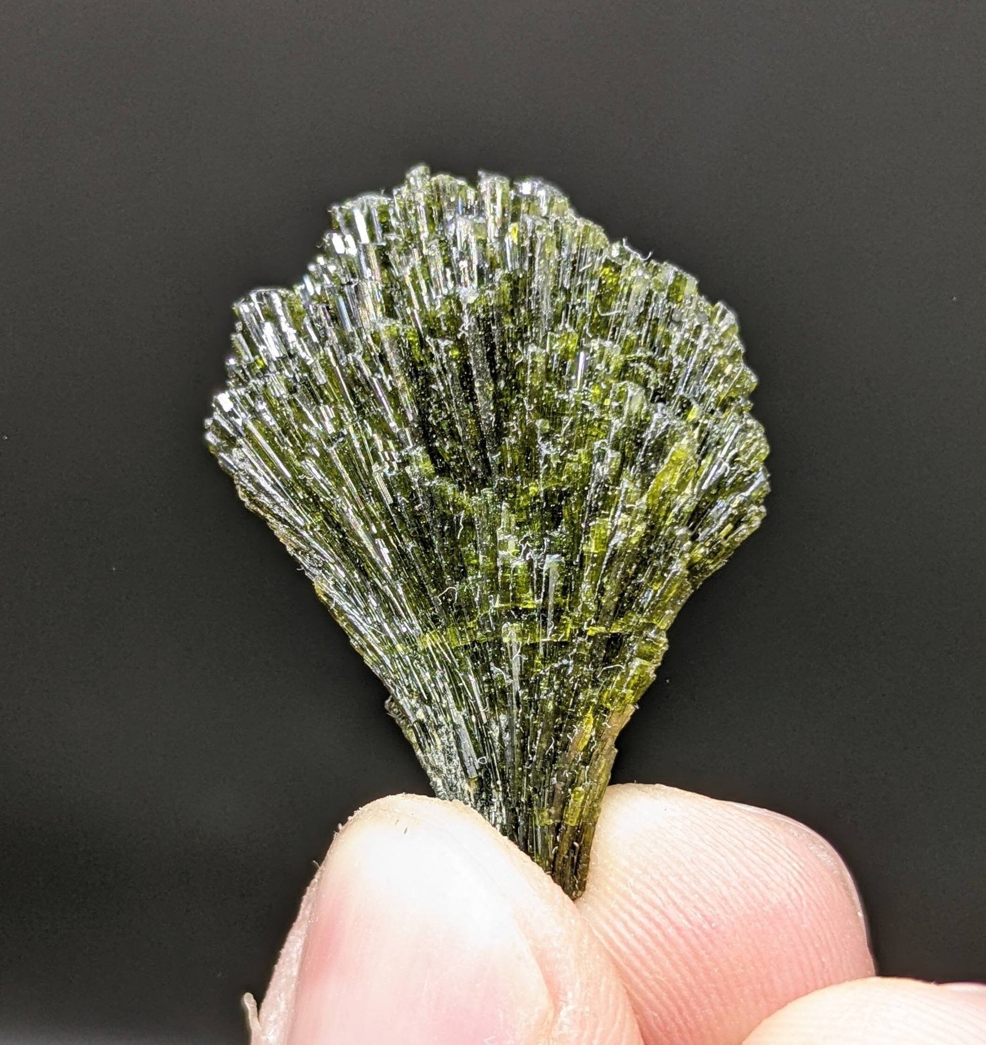 ARSAA GEMS AND MINERALSGrreen spray epidote crystal from Balochistan Pakistan, weight 6.2 grams - Premium  from ARSAA GEMS AND MINERALS - Just $25.00! Shop now at ARSAA GEMS AND MINERALS