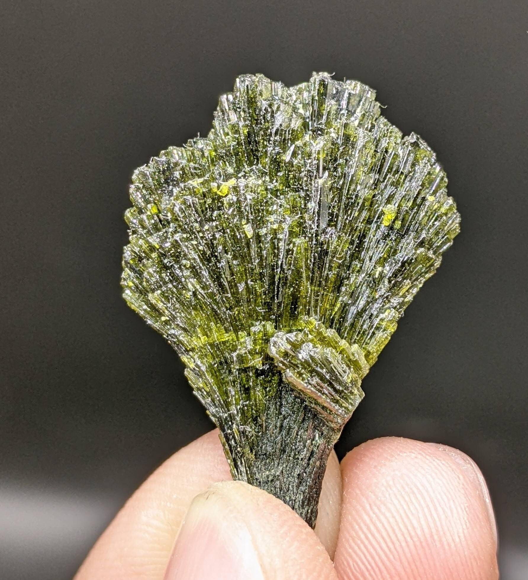 ARSAA GEMS AND MINERALSGrreen spray epidote crystal from Balochistan Pakistan, weight 6.2 grams - Premium  from ARSAA GEMS AND MINERALS - Just $25.00! Shop now at ARSAA GEMS AND MINERALS