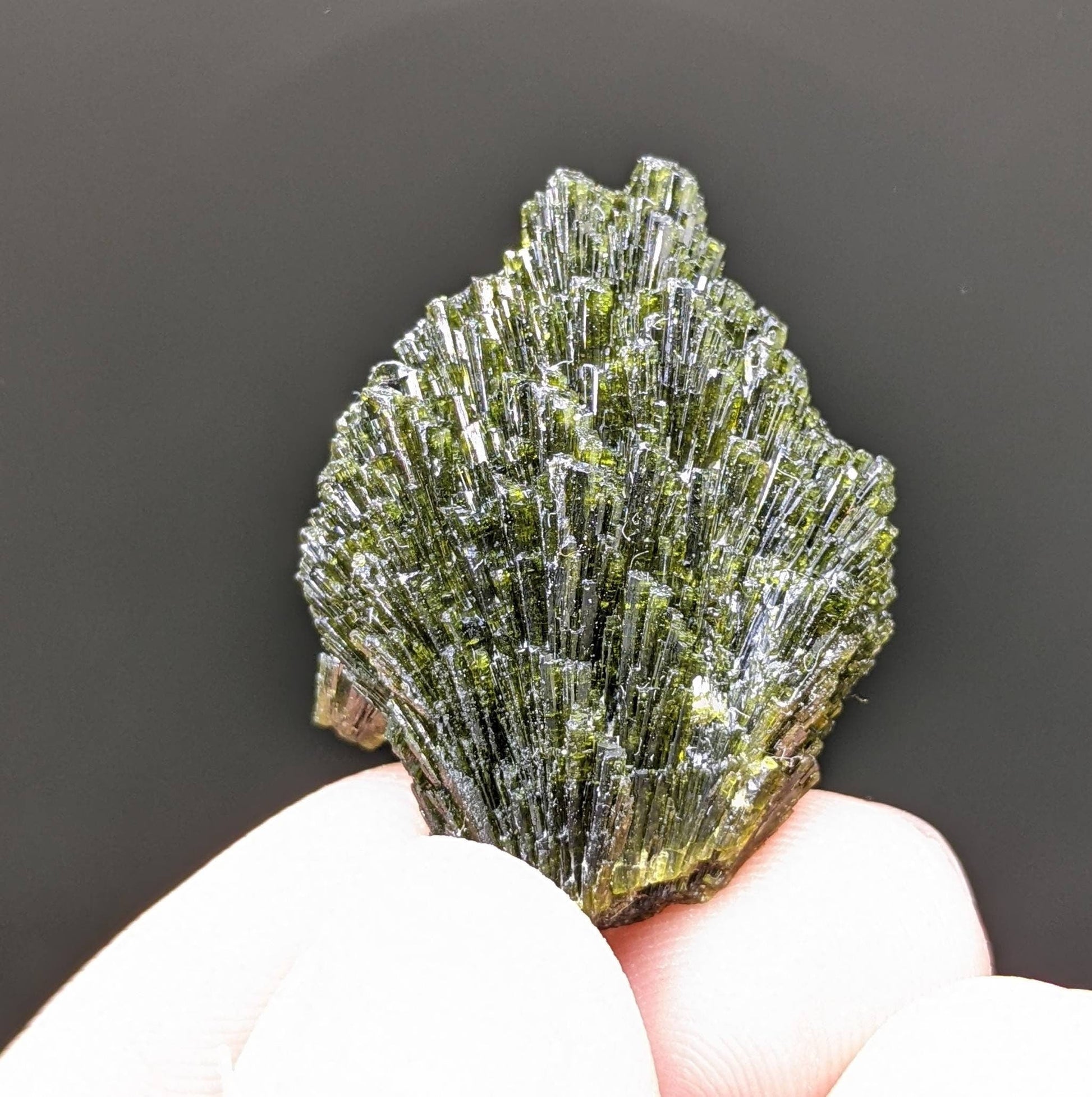 ARSAA GEMS AND MINERALSGrreen spray epidote crystal from Balochistan Pakistan, weight 9.1 grams - Premium  from ARSAA GEMS AND MINERALS - Just $25.00! Shop now at ARSAA GEMS AND MINERALS