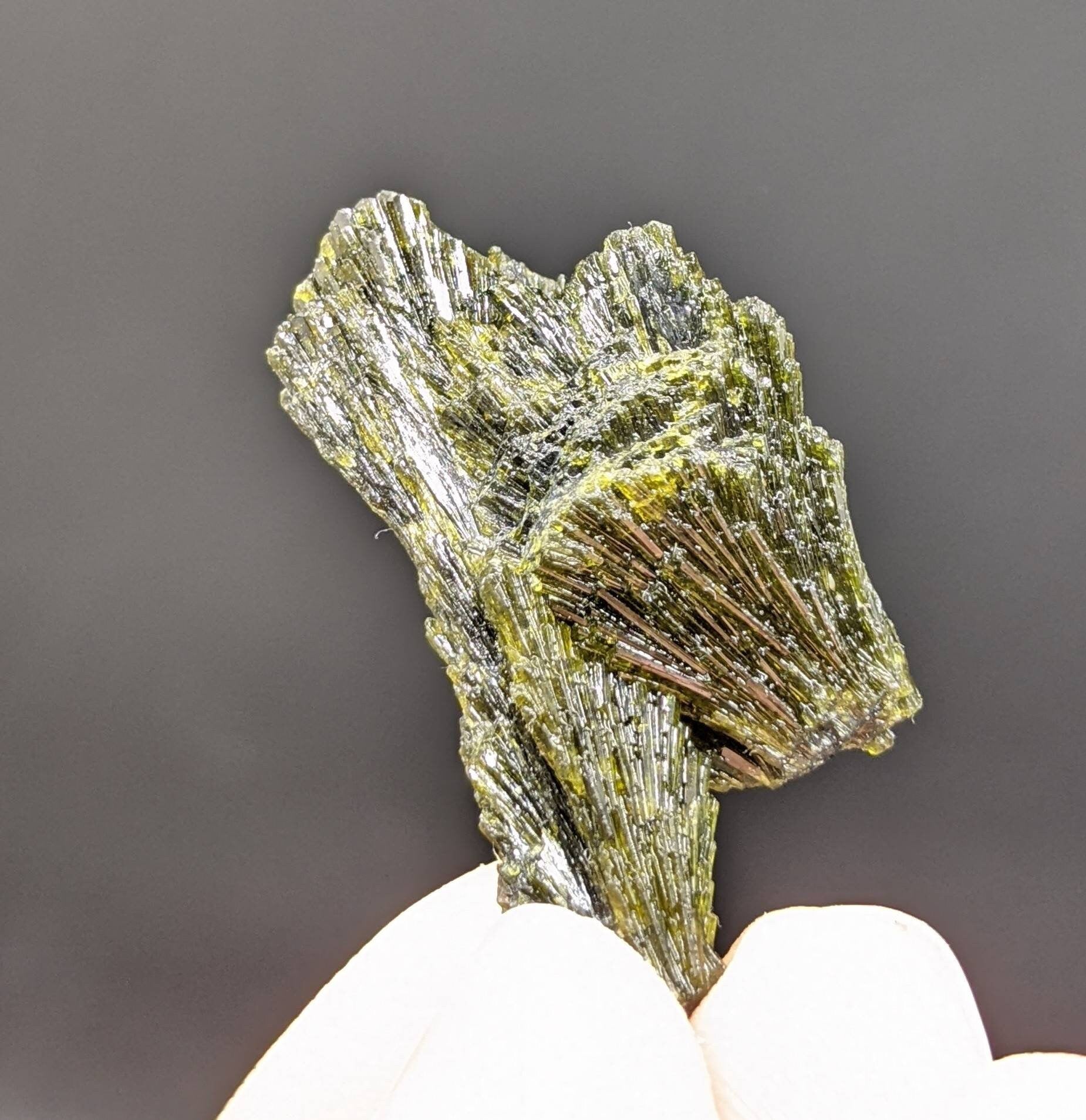 ARSAA GEMS AND MINERALSNatural green spray epidote crystal from Balochistan Pakistan, weight 9 grams - Premium  from ARSAA GEMS AND MINERALS - Just $20.00! Shop now at ARSAA GEMS AND MINERALS