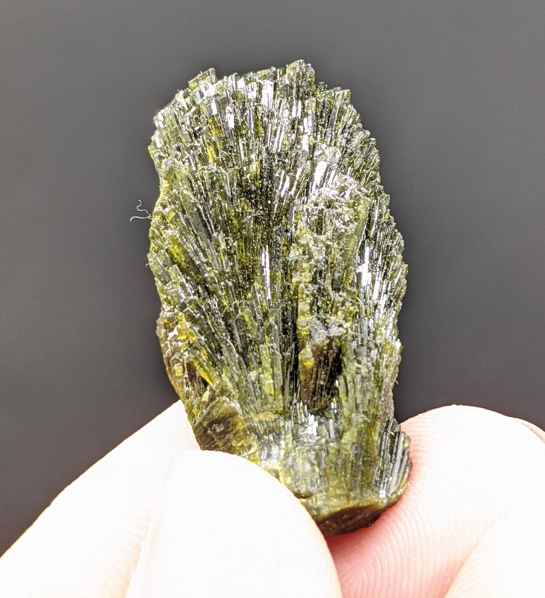ARSAA GEMS AND MINERALSNatural green spray epidote crystal from Balochistan Pakistan, weight 14.1 grams - Premium  from ARSAA GEMS AND MINERALS - Just $25.00! Shop now at ARSAA GEMS AND MINERALS