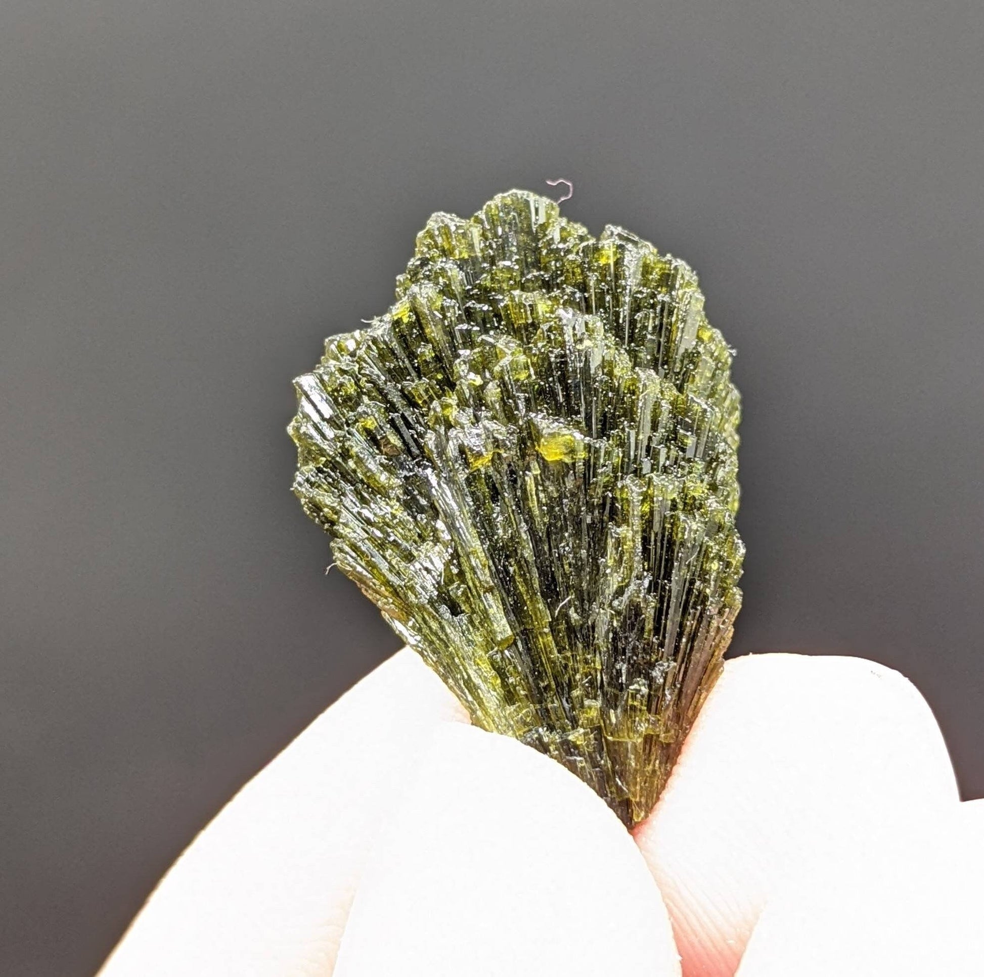 ARSAA GEMS AND MINERALSNatural green spray epidote crystal from Balochistan Pakistan, weight 6.3 grams - Premium  from ARSAA GEMS AND MINERALS - Just $20.00! Shop now at ARSAA GEMS AND MINERALS