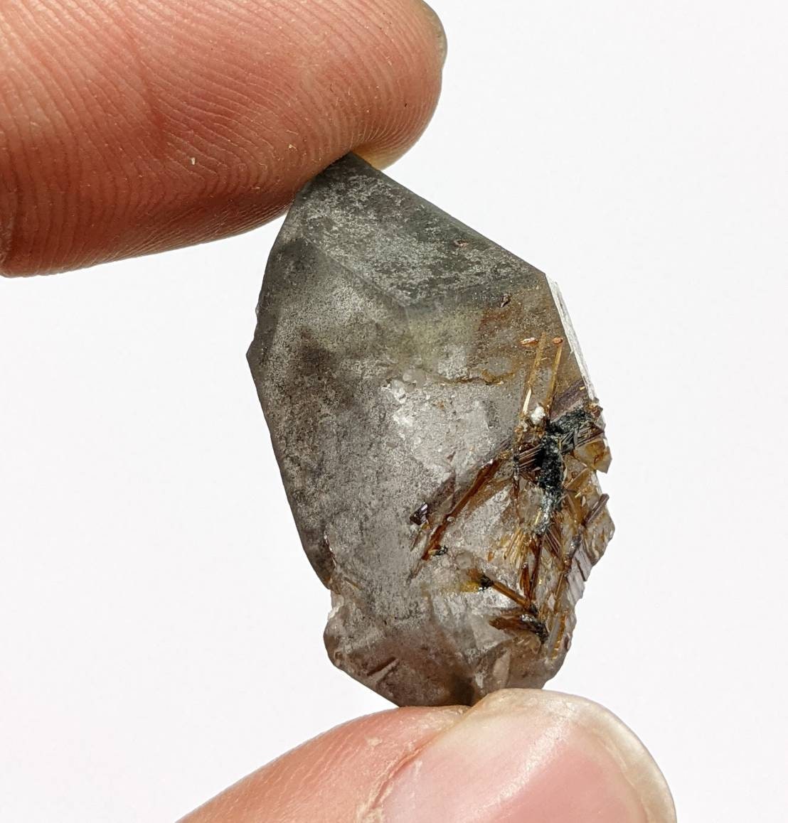 ARSAA GEMS AND MINERALSSagenite var Rutile included quartz crystal from KP Pakistan, 10 grams - Premium  from ARSAA GEMS AND MINERALS - Just $27.00! Shop now at ARSAA GEMS AND MINERALS