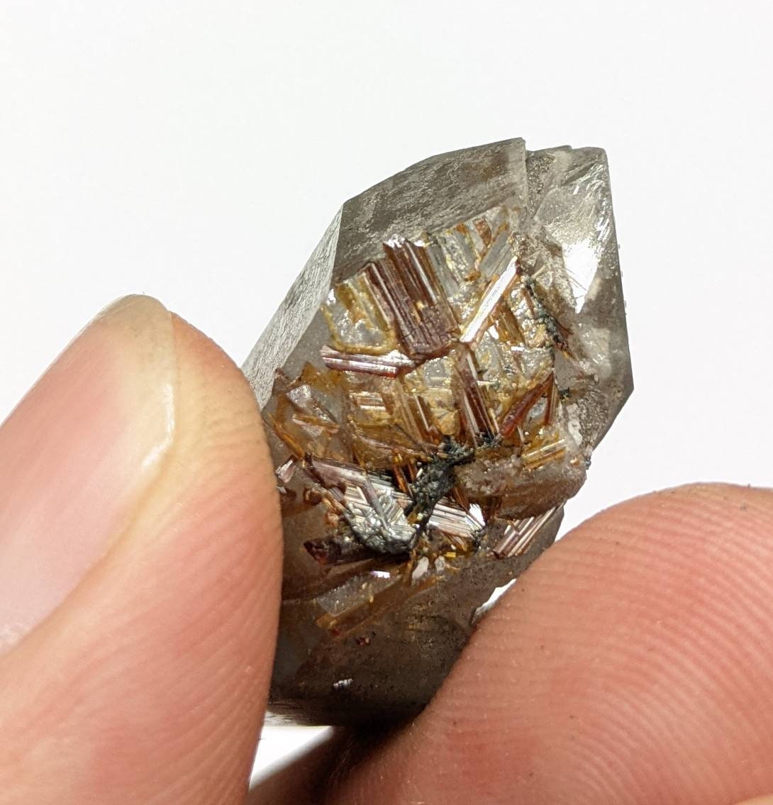 ARSAA GEMS AND MINERALSSagenite var Rutile included quartz crystal from KP Pakistan, 10 grams - Premium  from ARSAA GEMS AND MINERALS - Just $27.00! Shop now at ARSAA GEMS AND MINERALS