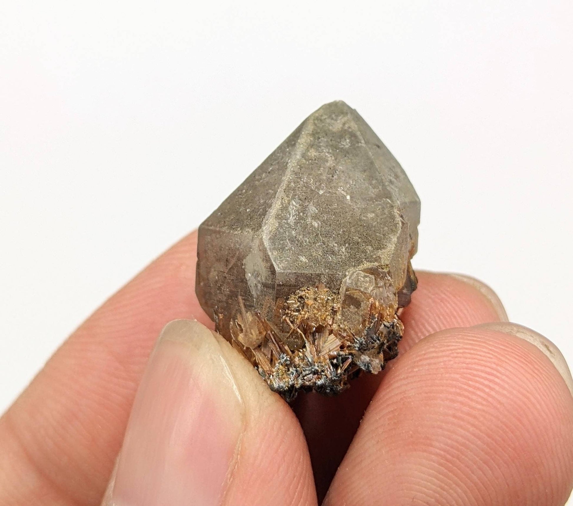 ARSAA GEMS AND MINERALSSagenite var Rutile included quartz crystal from KP Pakistan, 6.4 grams - Premium  from ARSAA GEMS AND MINERALS - Just $25.00! Shop now at ARSAA GEMS AND MINERALS