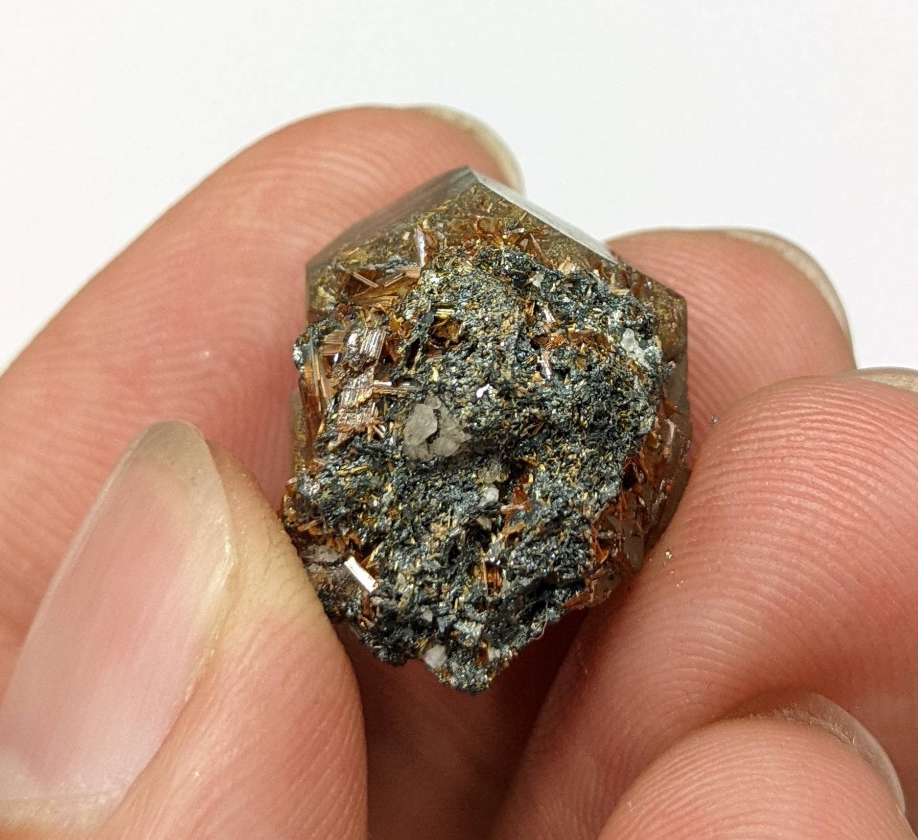 ARSAA GEMS AND MINERALSSagenite var Rutile included quartz crystal from KP Pakistan, 6.4 grams - Premium  from ARSAA GEMS AND MINERALS - Just $25.00! Shop now at ARSAA GEMS AND MINERALS