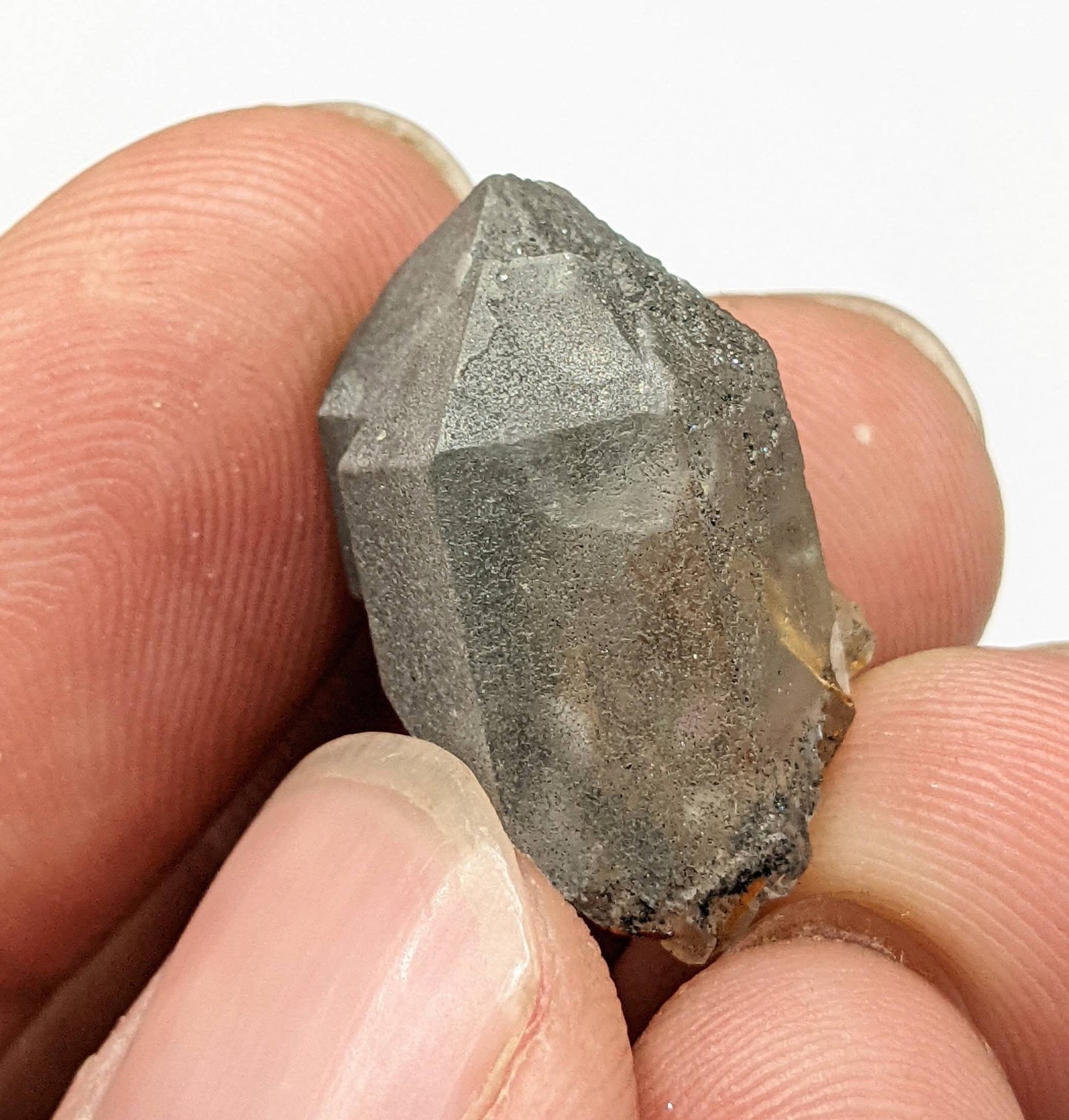ARSAA GEMS AND MINERALSTwins Sagenite var Rutile included quartz crystal from KP Pakistan, 4.5 grams - Premium  from ARSAA GEMS AND MINERALS - Just $25.00! Shop now at ARSAA GEMS AND MINERALS
