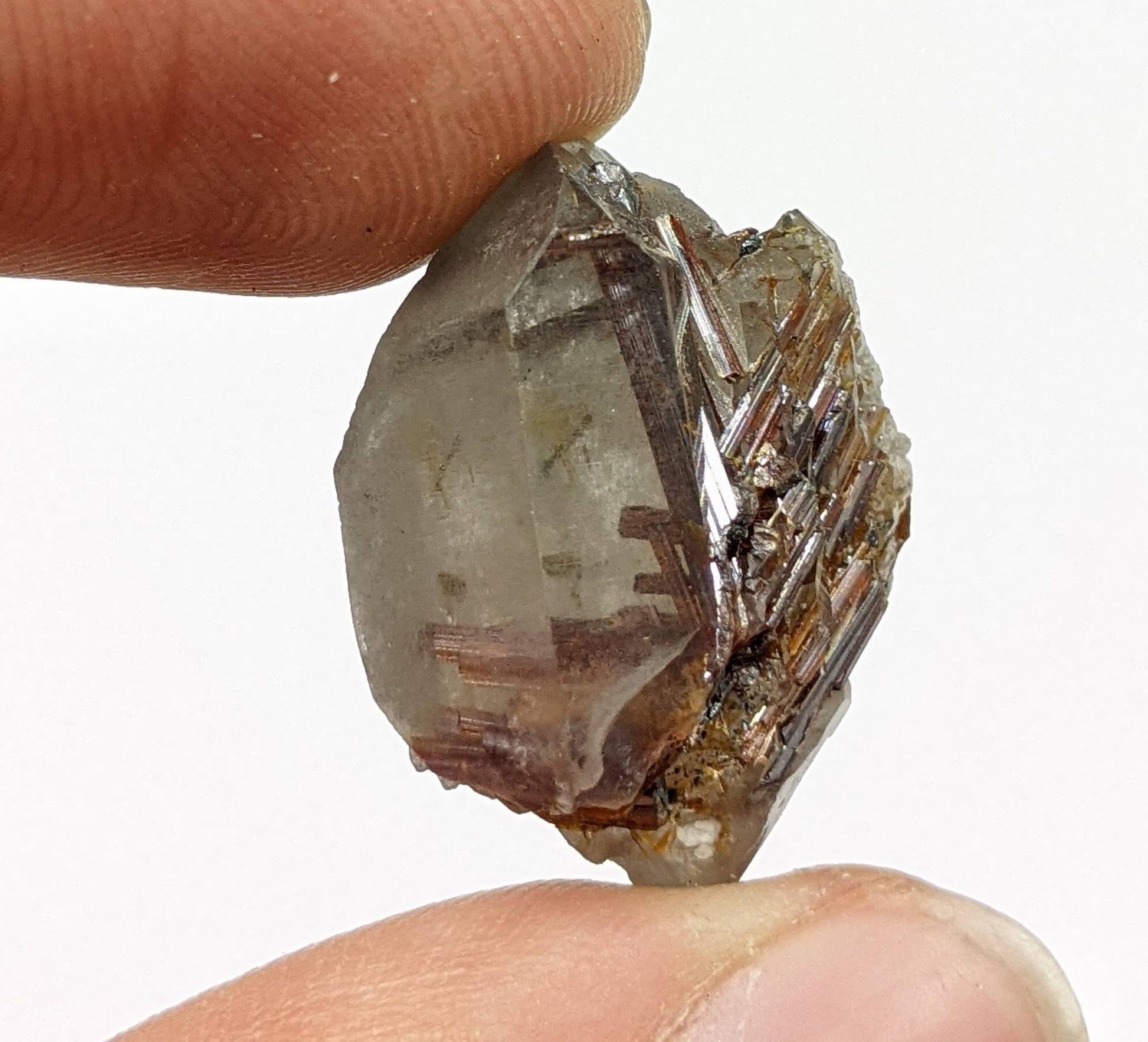ARSAA GEMS AND MINERALSSagenite var Rutile included quartz crystal from KP Pakistan, 7 grams - Premium  from ARSAA GEMS AND MINERALS - Just $30.00! Shop now at ARSAA GEMS AND MINERALS