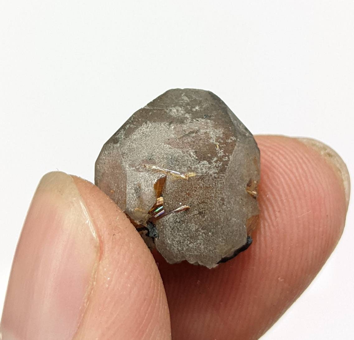 ARSAA GEMS AND MINERALSSagenite var Rutile included quartz crystal from KP Pakistan, 2.7 grams - Premium  from ARSAA GEMS AND MINERALS - Just $20.00! Shop now at ARSAA GEMS AND MINERALS