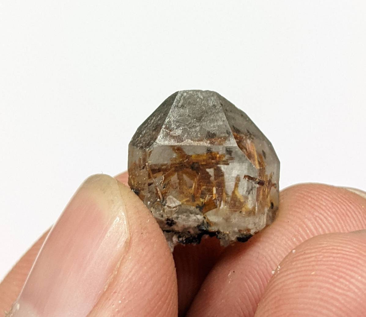 ARSAA GEMS AND MINERALSSagenite var Rutile included quartz crystal from KP Pakistan, 2.7 grams - Premium  from ARSAA GEMS AND MINERALS - Just $20.00! Shop now at ARSAA GEMS AND MINERALS