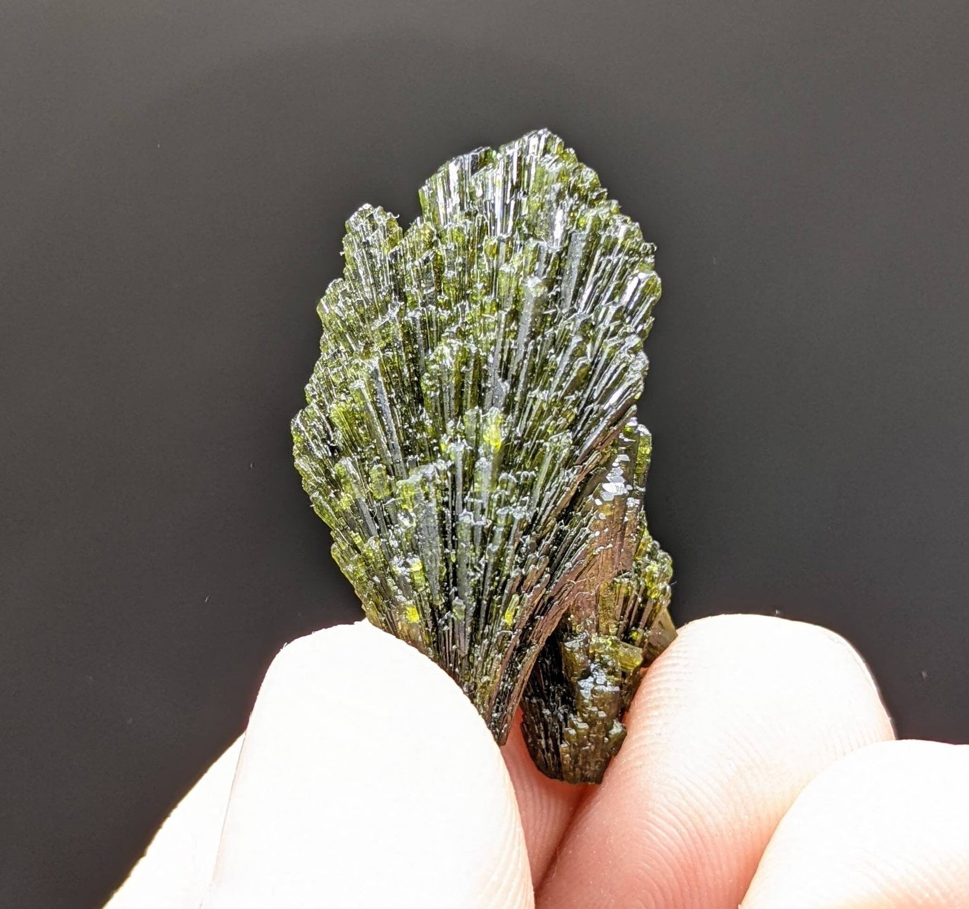 ARSAA GEMS AND MINERALSGrreen spray epidote crystal from Balochistan Pakistan, weight 7.3 grams - Premium  from ARSAA GEMS AND MINERALS - Just $25.00! Shop now at ARSAA GEMS AND MINERALS