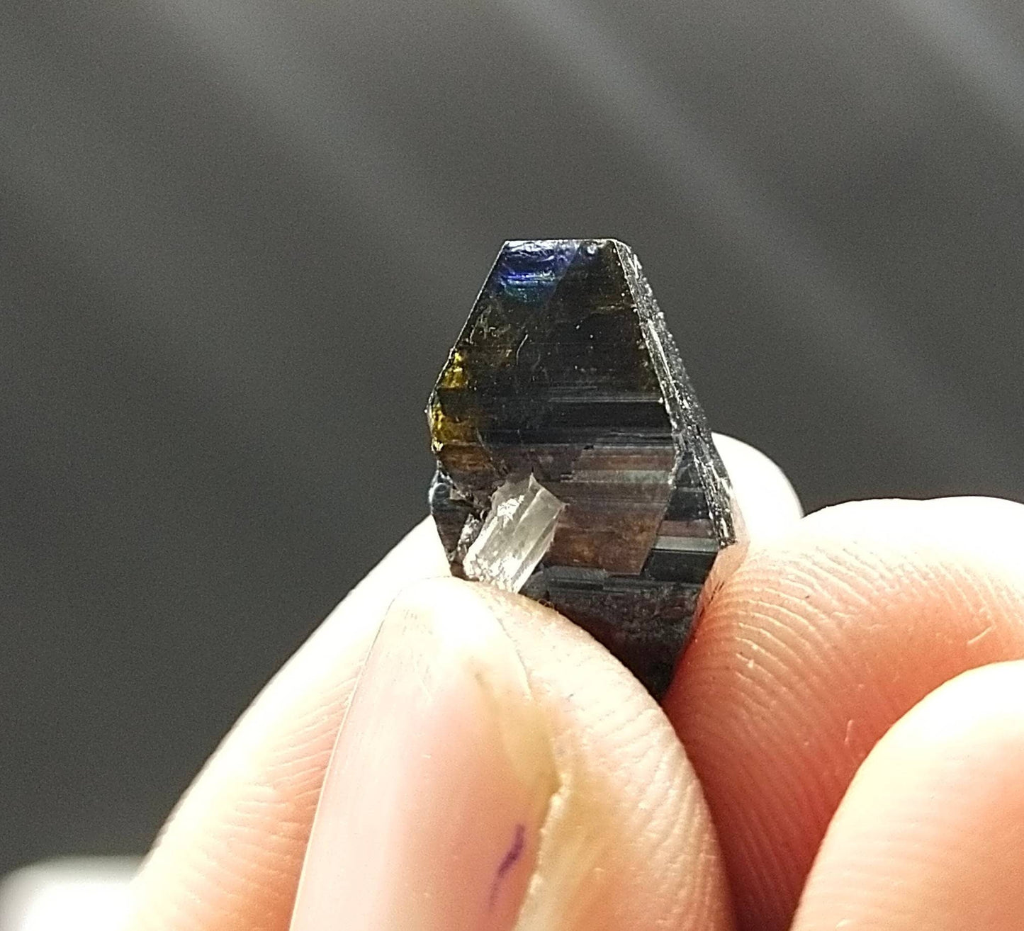 ARSAA GEMS AND MINERALSRare single big blue on top edge anatas crystal partially terminated with quartz from Balochistan Pakistan , weight 2.8 gram - Premium  from ARSAA GEMS AND MINERALS - Just $70.00! Shop now at ARSAA GEMS AND MINERALS