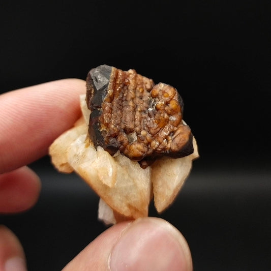 ARSAA GEMS AND MINERALSAndradite garnet crystal on matrix on flower of albite from Pakistan, 17.8 grams - Premium  from ARSAA GEMS AND MINERALS - Just $45.00! Shop now at ARSAA GEMS AND MINERALS