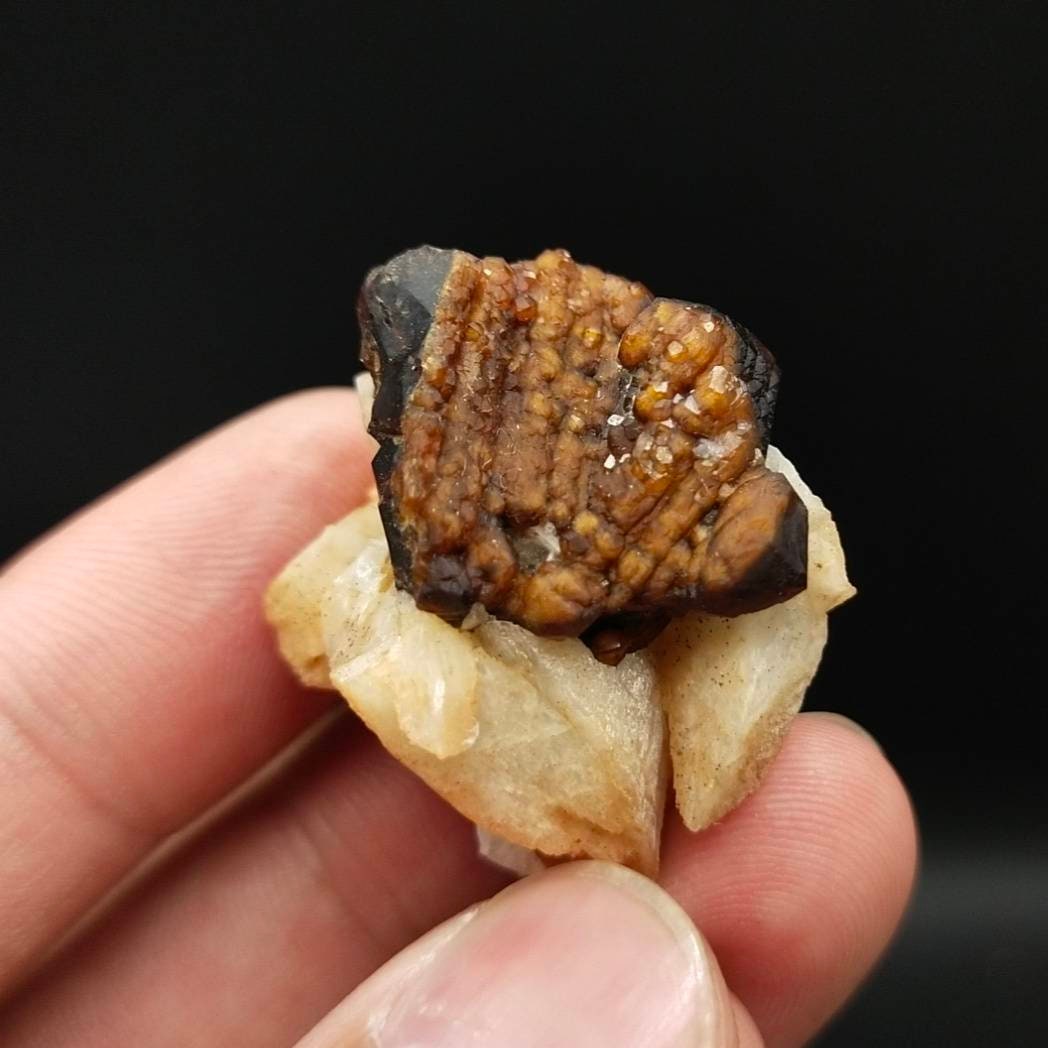 ARSAA GEMS AND MINERALSAndradite garnet crystal on matrix on flower of albite from Pakistan, 17.8 grams - Premium  from ARSAA GEMS AND MINERALS - Just $45.00! Shop now at ARSAA GEMS AND MINERALS