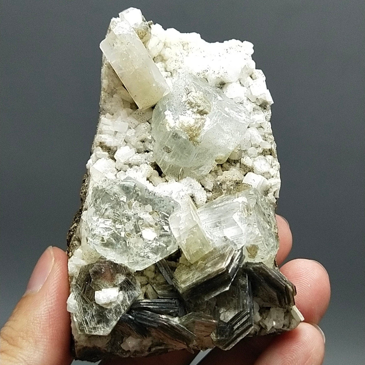ARSAA GEMS AND MINERALSNatural clear aquamarine crystal with uv reactive apatite crystals on matrix on albite with muscovite from Pakistan, 203 grams - Premium  from ARSAA GEMS AND MINERALS - Just $300.00! Shop now at ARSAA GEMS AND MINERALS