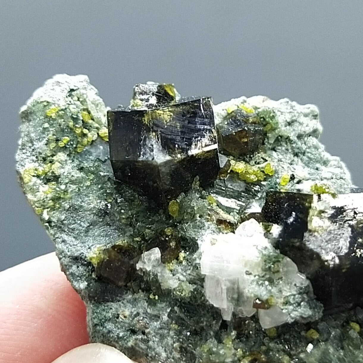 ARSAA GEMS AND MINERALSAndradite garnet crystal on matrix on albite with green epidote from Pakistan, 13 grams - Premium  from ARSAA GEMS AND MINERALS - Just $50.00! Shop now at ARSAA GEMS AND MINERALS