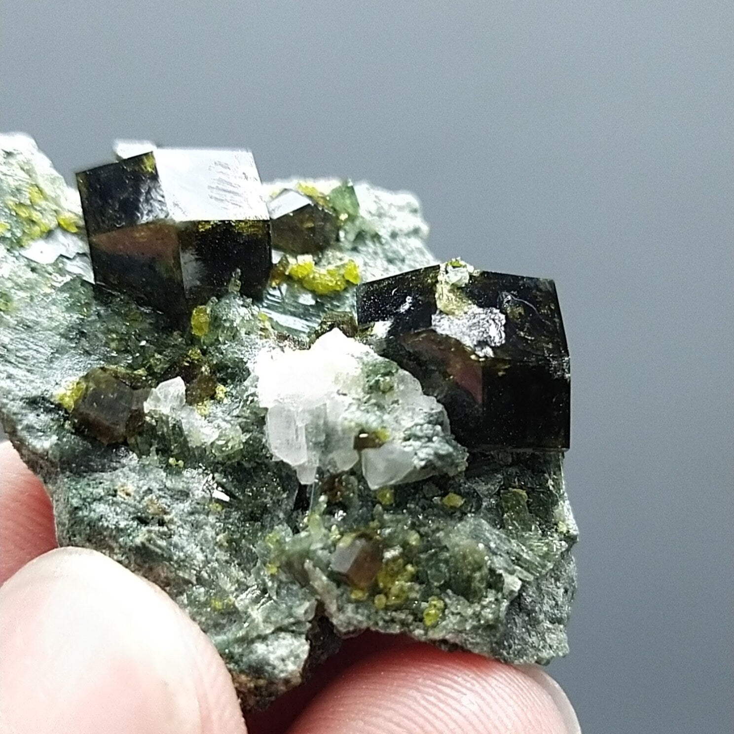 ARSAA GEMS AND MINERALSAndradite garnet crystal on matrix on albite with green epidote from Pakistan, 13 grams - Premium  from ARSAA GEMS AND MINERALS - Just $50.00! Shop now at ARSAA GEMS AND MINERALS