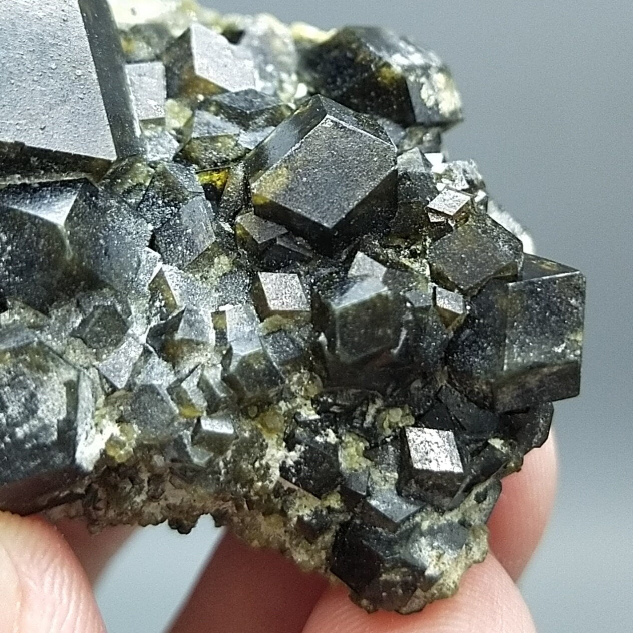 ARSAA GEMS AND MINERALSAndradite garnet crystal on matrix on albite with green epidote from Pakistan, 57 grams - Premium  from ARSAA GEMS AND MINERALS - Just $150.00! Shop now at ARSAA GEMS AND MINERALS