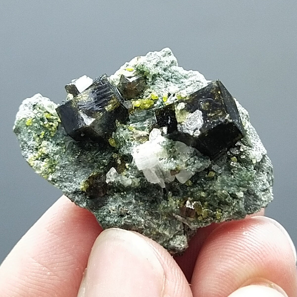 ARSAA GEMS AND MINERALSAndradite garnet crystal on matrix on albite with green epidote from Pakistan, 13 grams - Premium  from ARSAA GEMS AND MINERALS - Just $50.00! Shop now at ARSAA GEMS AND MINERALS