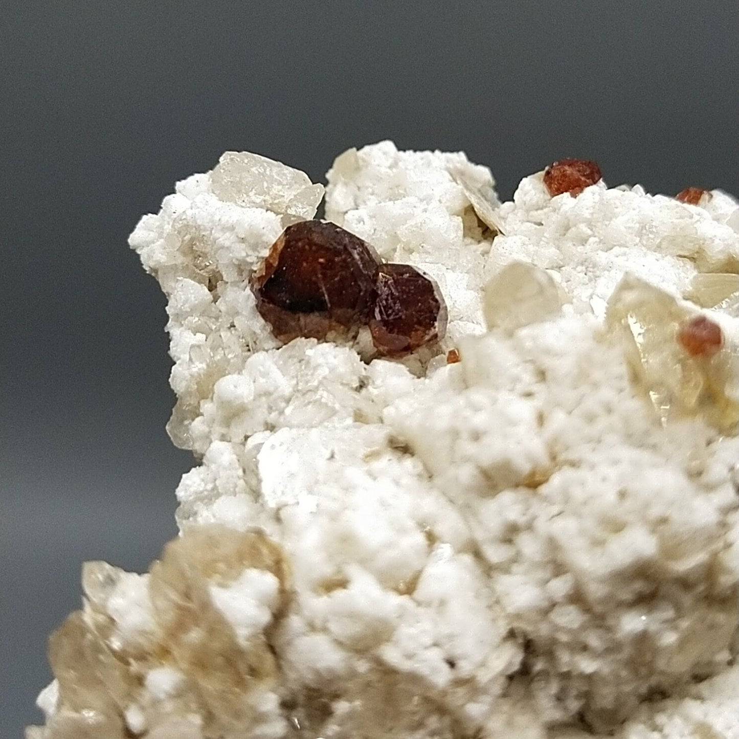 ARSAA GEMS AND MINERALSNatural an aesthetic clear quartz crystal on matrix with terminated red spessartine garnet alongside with albite and muscovite from Pakistan - Premium  from ARSAA GEMS AND MINERALS - Just $80.00! Shop now at ARSAA GEMS AND MINERALS