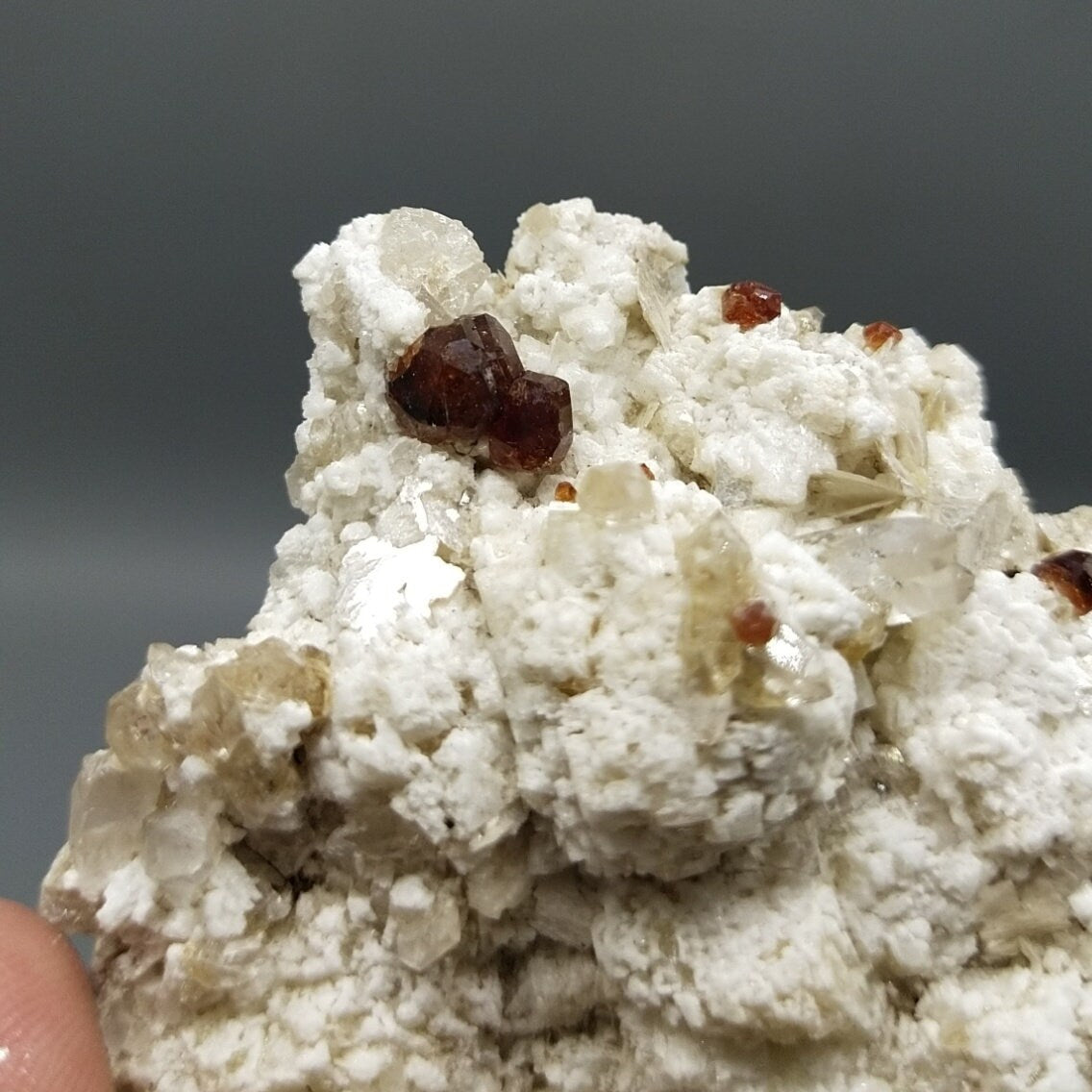 ARSAA GEMS AND MINERALSNatural an aesthetic clear quartz crystal on matrix with terminated red spessartine garnet alongside with albite and muscovite from Pakistan - Premium  from ARSAA GEMS AND MINERALS - Just $80.00! Shop now at ARSAA GEMS AND MINERALS