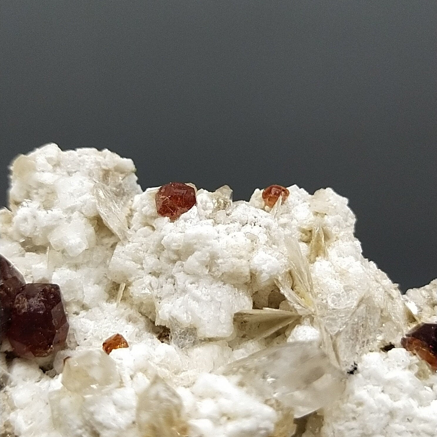 ARSAA GEMS AND MINERALSNatural an aesthetic clear quartz crystal on matrix with terminated red spessartine garnet alongside with albite and muscovite from Pakistan - Premium  from ARSAA GEMS AND MINERALS - Just $80.00! Shop now at ARSAA GEMS AND MINERALS