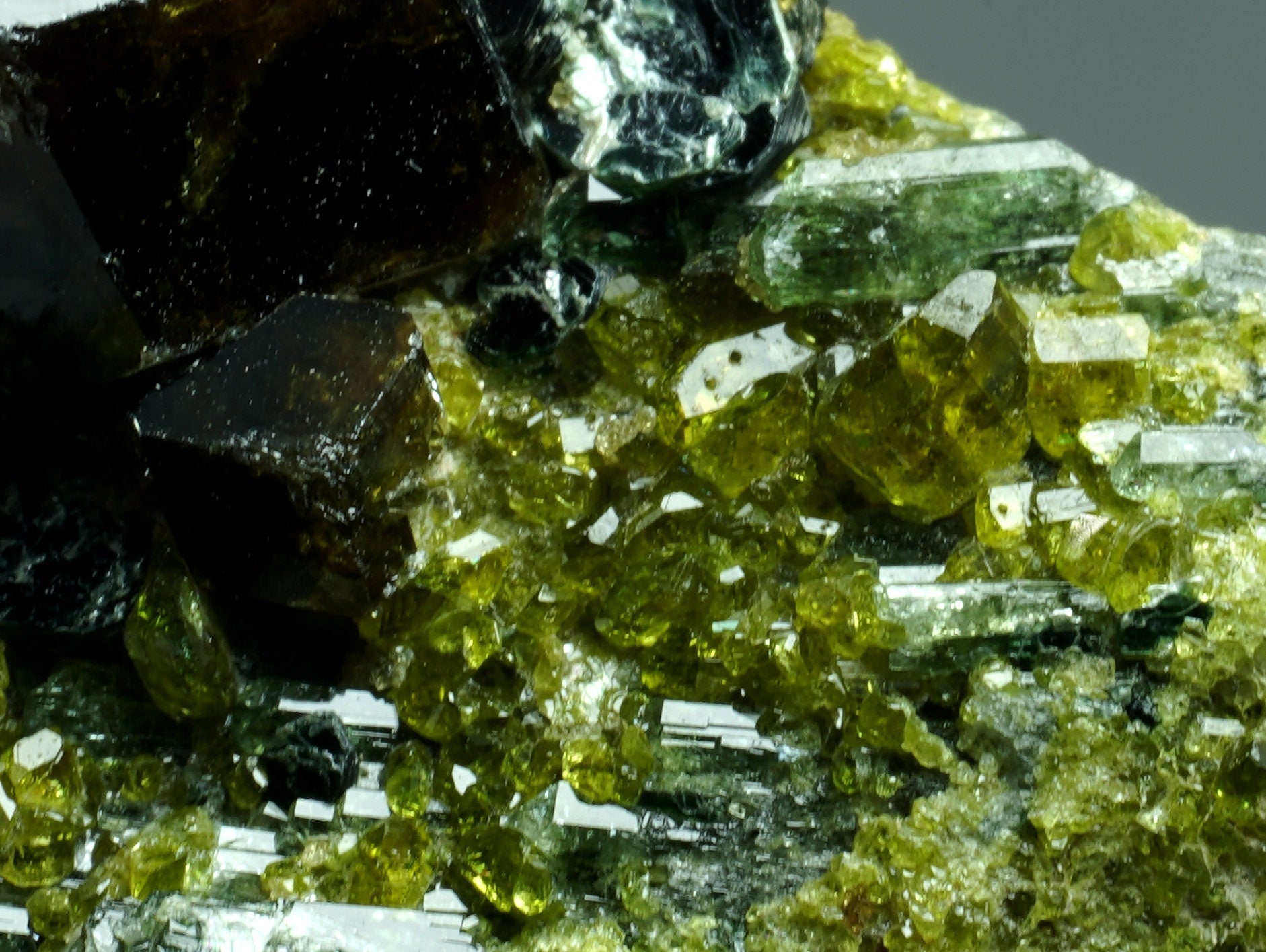 ARSAA GEMS AND MINERALSAndradite garnet crystal on matrix with green epidote from Pakistan, 10.5 grams - Premium  from ARSAA GEMS AND MINERALS - Just $40.00! Shop now at ARSAA GEMS AND MINERALS